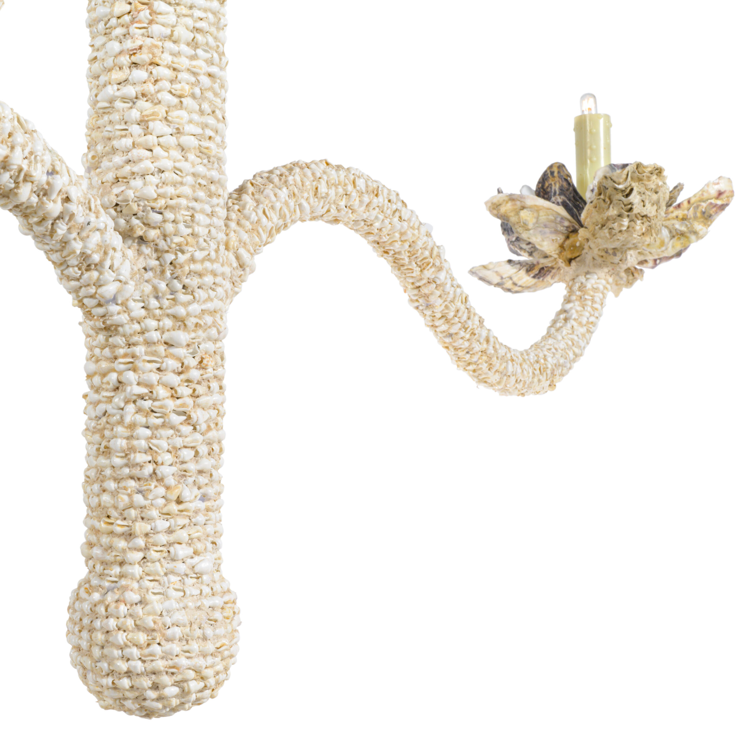 Custom Monumental Chandelier_Natural Seashell_JCS00184-32_thumb