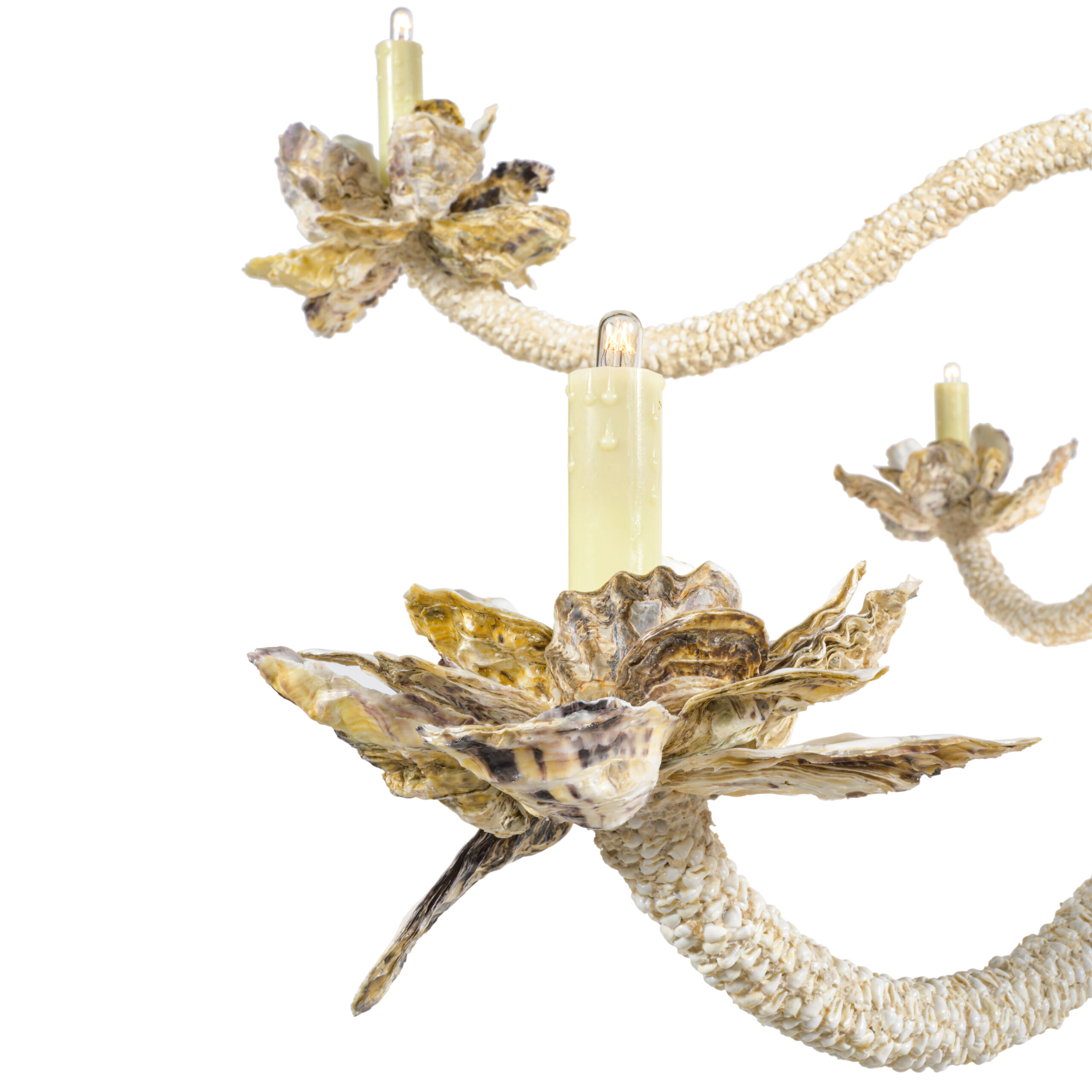 Custom Monumental Chandelier_Natural Seashell_JCS00184-35_thumb